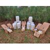 Slash Pine Needles (1 Lb)