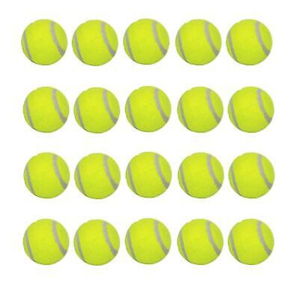 LUCKYERMORE Dog Tennis Balls 20 Pack Pet Tennis Ball for Small Dogs Premium F...