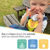 Nuby Silicone Flash Cards – 5 Different Animals | Soft Silicone| Early Development | Bright Colours
