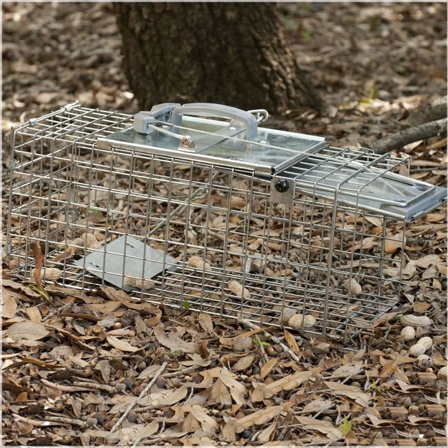 Havahart Medium 1 Door Humane Small Critter Trap ~ Catch & Release