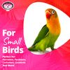 Super Bird Creations Mini Munch Balls Bird Toy, 24-Pack