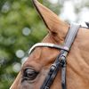 Whitaker Lynton Diamante V-Shaped Browband