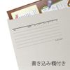 (Bulk Purchase) Plus FL-081IF Individual Folder, Economy, Thin Cardstock Type, A4 Side, Gray, 10 Sheets