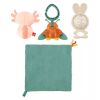 Fisher Price Sensimals Gift Set