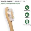 VIVAGO Biodegradable Bamboo Toothbrushes 10 Pack - BPA Free Soft Bristles Toothbrushes, Eco-Friendly, Compostable Natural Wooden Toothbrush