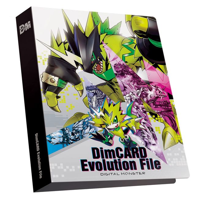 DimCARD Evolution File