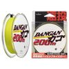 YAMATOYO / DANGAN car lemon 200m 8
