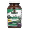 Horsetail Grass, 450 mg, 90 Vegetarian Capsules