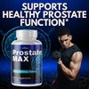 Prostate Max- Prostate Support- 60 Capsules