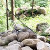 Bush Craft Bushcraft Net Pegs