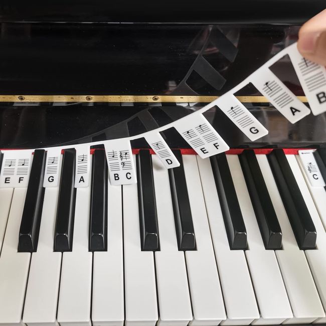 AIEX Abnehmbare Klaviertastatur Notenetiketten, Klavier Keyboard Aufkleber in Voller Größe 88 Tasten aus Silikon Kein Aufkleben Erforderlich Wiederverwendbare Bunte Piano Keyboard Stickers, mit Box