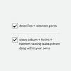 Facewater Pore Purge Potion Deep Cleansing Willow Bark Toner