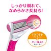 Schick Quattro 4 for Woman Replacement Blades (4 Pieces) Women's Razor