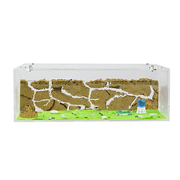 AntHouse - Natural Sand Ant Farm | Acrylic Big Starter Kit 30x15x10 cm