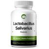 Lactobacillus Salivarius Probiotics 240 Tablets Supports Digestive Function, Gut
