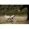 Mountain Paws Climbing Rope Dog Toy with Durable, Reflective Thread, Flat