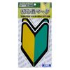 Procyon A Beginner Mark Magnet Set of 2 WM – 01
