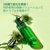 Pyunkang Yul Ultimate Calming Solution Toner 100ml Ultimate Calming Solution Toner