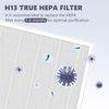 Replacement Filter Compatible with LAMPICK Cleaner-A6 Air Purifier, 4-in-1 Air Filter Replacement, 2 Pack