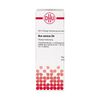 DHU Nux vomica D4 Dilution, 20 ml Lösung