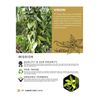 1/2lb Pure 100% Ground Planifolia Vanilla Bean For Baking,  Coffee, Flavoring.