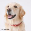 Petio Collar Basic Plus Cross Diamond Color Blue for Small Dogs S Size