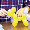 Schylling How to Make a Balloon Animals kit