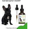 Pet Wellbeing Milk Thistle Healthy Liver Function in Dogs 2oz.