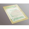 Simply Wallart Dinosaur Party Invitation - 20 A5 Invitation Pack