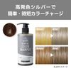 [got2b] Bonded Color Shampoo, Silver (Bleach Color)