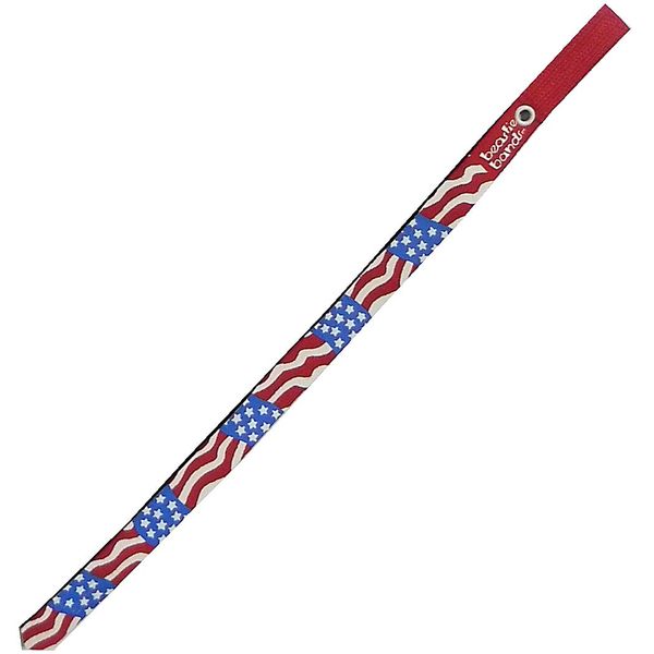 Beastie Bands Cat Collar, Stars Stripes