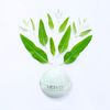 Eucalyptus Luxury Bath Bombs -Set of 10 - Extra Large - 4.5oz