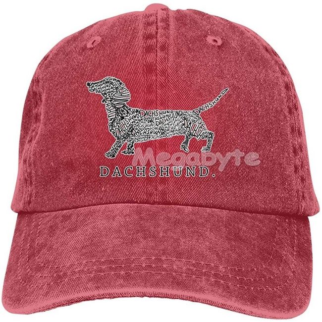 Graphic Baseball Dachshund Hat – The Doxie World