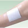 Alcare 17822 Multifix Roll Breathable Waterproof Film Roll No. 7 1 Roll