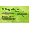 4150 GAUSS CERAMIC FERRITE RECTANGULAR MAGNET PAIR  BIOMAGNETISM FREE EBOOKS
