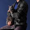 Petio Collar Charmant Cat Collar Scrunchie Plaid Red for Cats