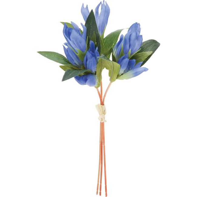 Poppy FS-8306BLU Gentian Bundle/Blue 8.7 inches (22 cm)