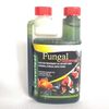 Cloverleaf FA500/6 Fungal Answer, 500ml, Clear, 26x6x14 cm