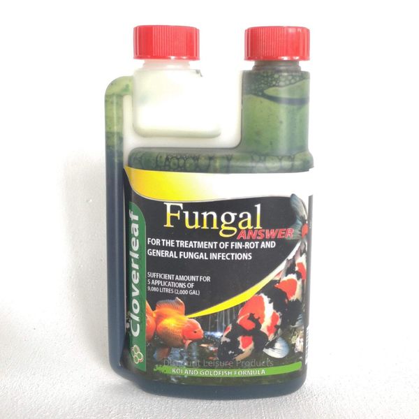 Cloverleaf FA500/6 Fungal Answer, 500ml, Clear, 26x6x14 cm