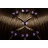 Rhinestone Hair Claws (Pack of 10, Purple)