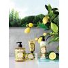 Panierdessens Essentials Liquid Marseille Soap, Provence, 16.9 fl oz (500 ml), Full Body Soap, Traditional Formulation