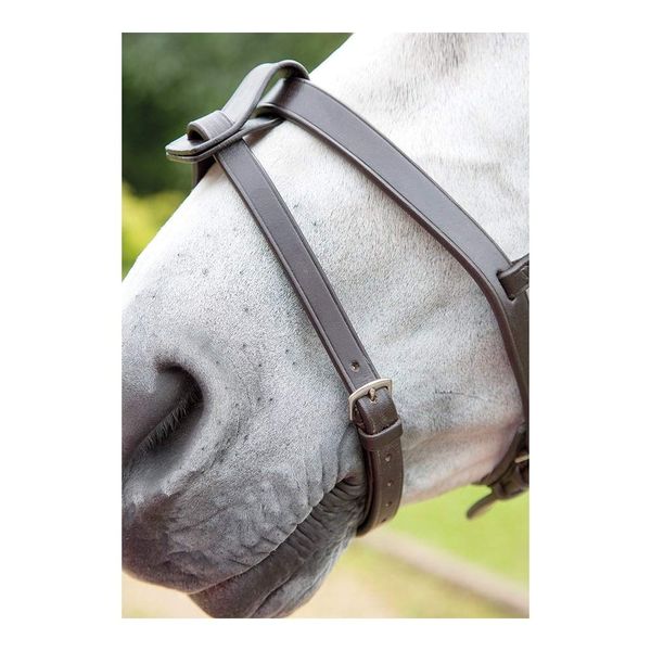 Shires Velociti GARA Flash Strap Extra Full Havana