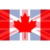 CafePress UK/Canada Rectangle Bumper Sticker Car Decal