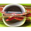 Nescafé gift pack ( 1 Coffee Mug & 3 packets Inside Dark Roast Nescafé Clasico)