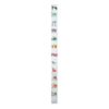 Leo Leoni Easy Height Scale (Let's Play with Colors)