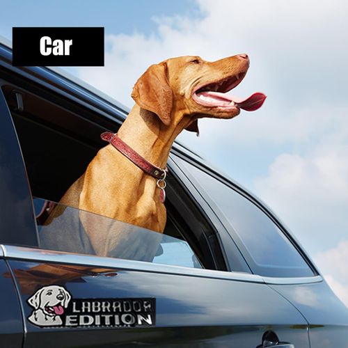 Car Emblem: Dog Car Badge Laser Cutting Emblem Cool Decals Trucks German Shepherd Badge Corgi Edition Doodle Golden Retriever Vehicles Dachshund Addition Rottweiler (Great Pyrenees)