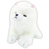 Pome-chan 8203 167 Munyamu Nyawanko