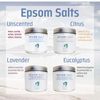White Egret Citrus Pharmaceutical Grade Epsom Salt 16oz