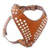 Bestia Star Studded Leather Dog Harness