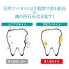 RUKEN Kiralun Toothpaste Type, Mint, 3.5 oz (100 g) x 1
